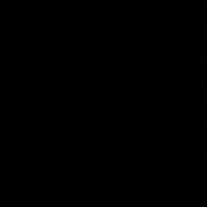 Meet your Posher, Macy